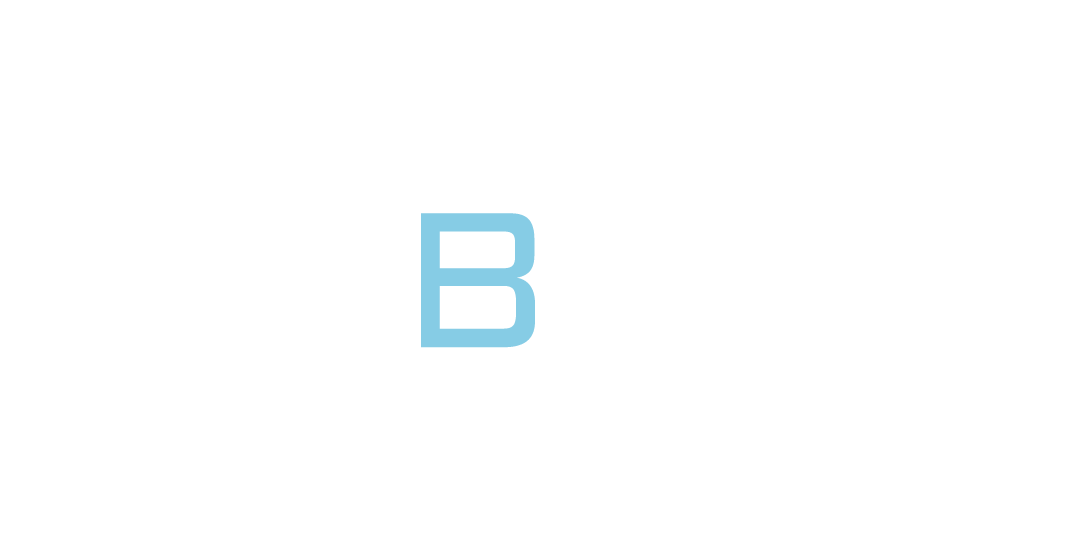 Bric | Construccion y Desarrollo